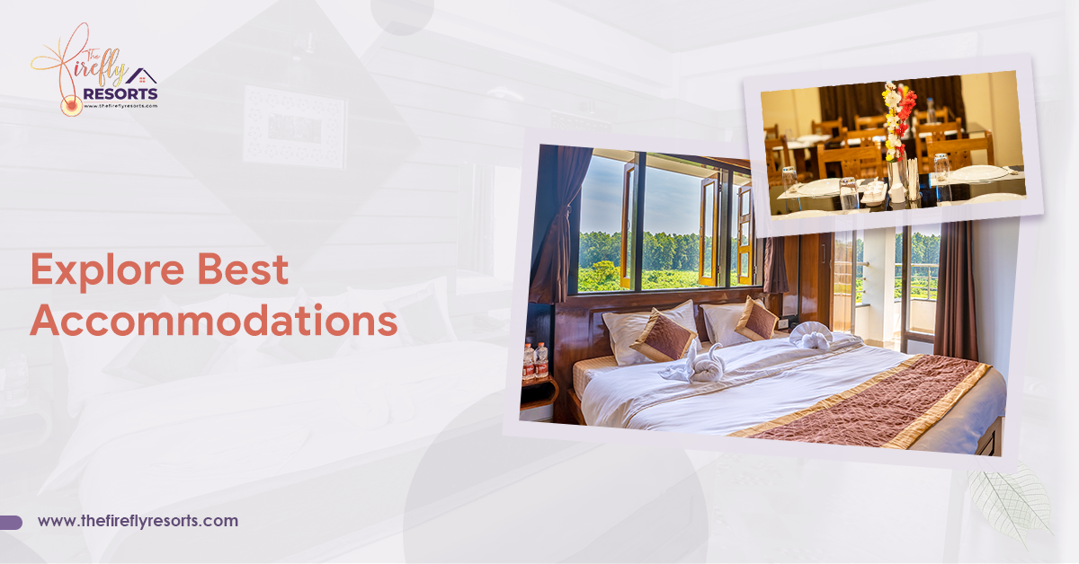 Explore Best Accommodations